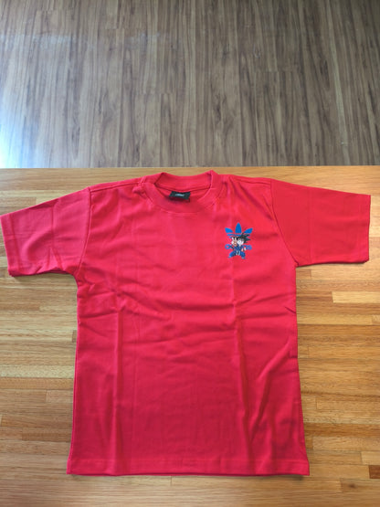 Remera Oversized ADI DBZ