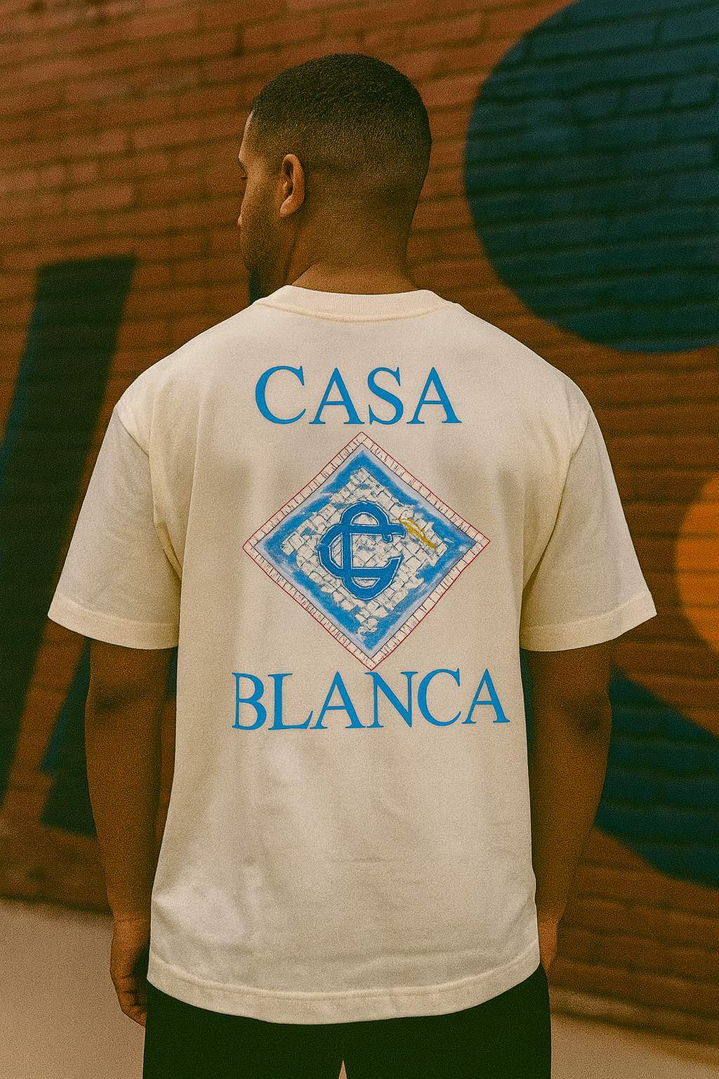 Remera Oversized "White House"
